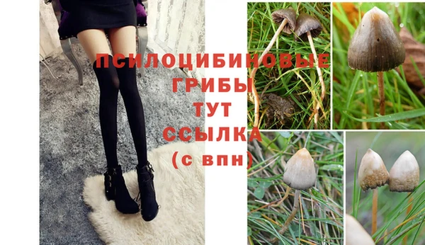 мескалин Козловка