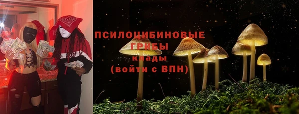 стаф Козельск