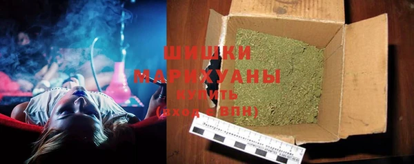 стаф Козельск