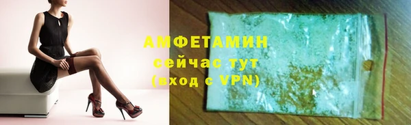стаф Козельск