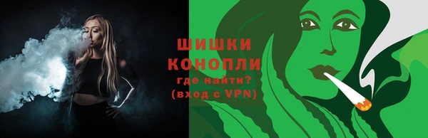 стаф Козельск