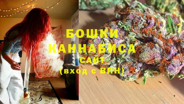 стаф Козельск