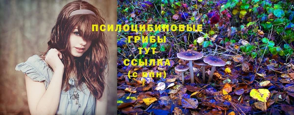 стаф Беломорск
