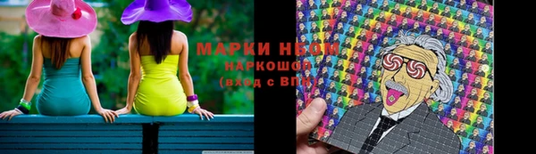 стаф Козельск