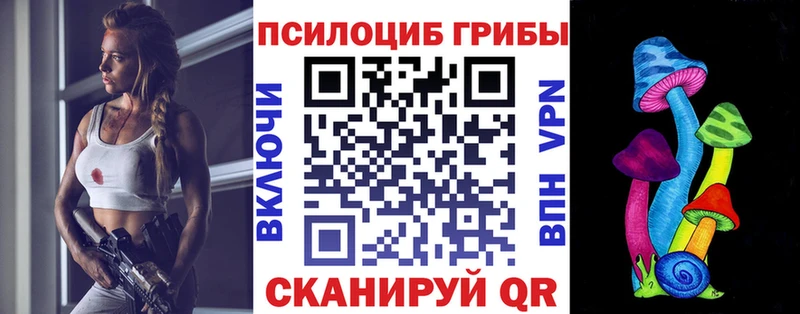 Псилоцибиновые грибы ЛСД  магазин    MEGA зеркало  Болохово 